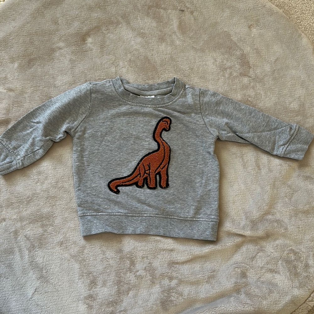 Hanna Anderson Dino sweatshirt